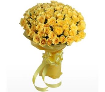 Outburst Yellow