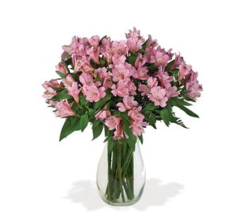 Pink Alstro Bouquet