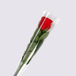single stem - Image 2
