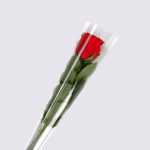 single stem