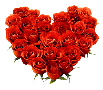 HEARTBEAT LOVE - Image 2