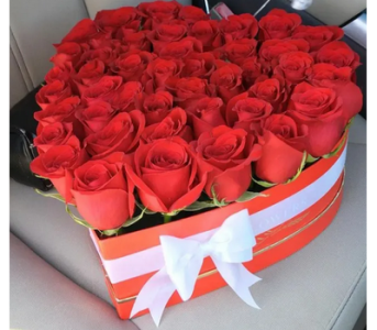 Bold Heart Gift