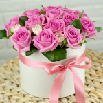 PINK LADY
