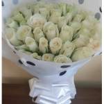 GRATITUDE WHITE