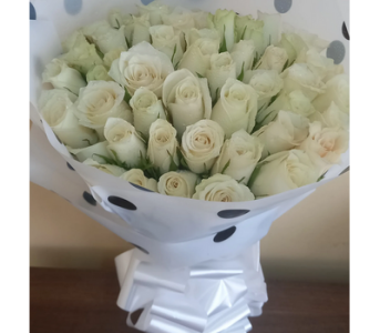GRATITUDE WHITE