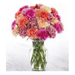 MIXED CARNATIONS VASE
