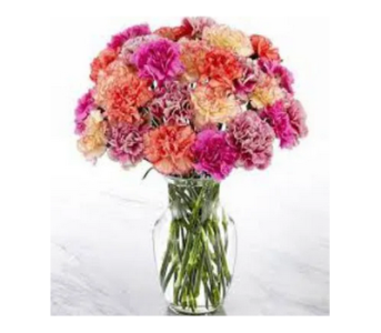 MIXED CARNATIONS VASE