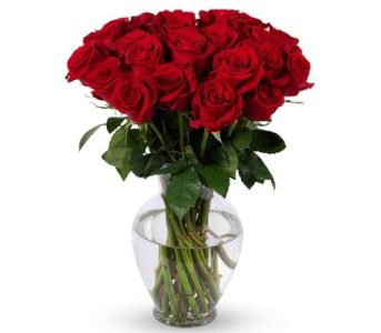 Red Roses Vase